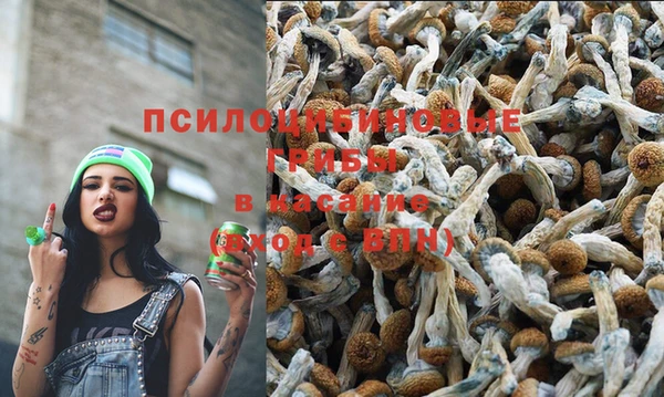 наркотики Михайловка